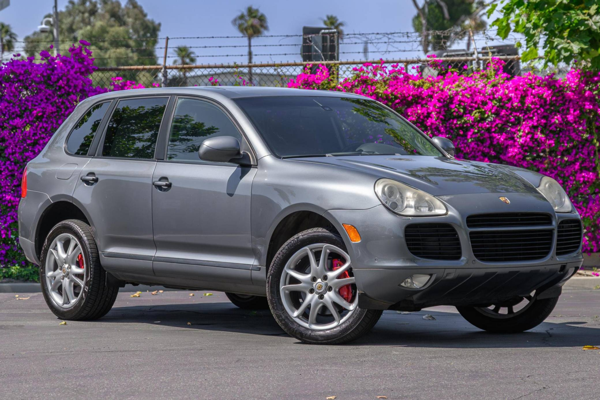 Silver Porsche Cayenne beside flowering bougainvillea